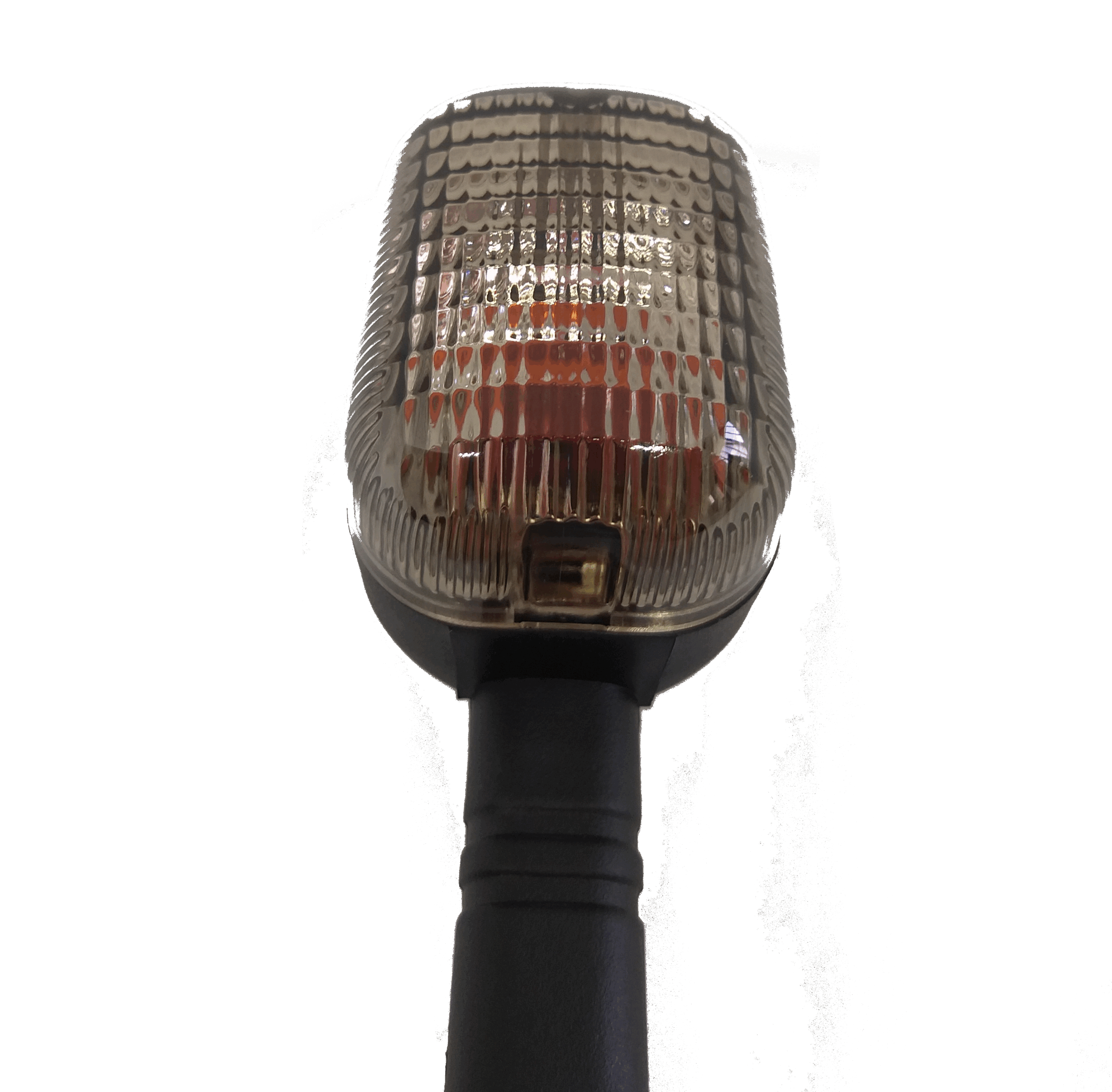 20190216 145435 scaled