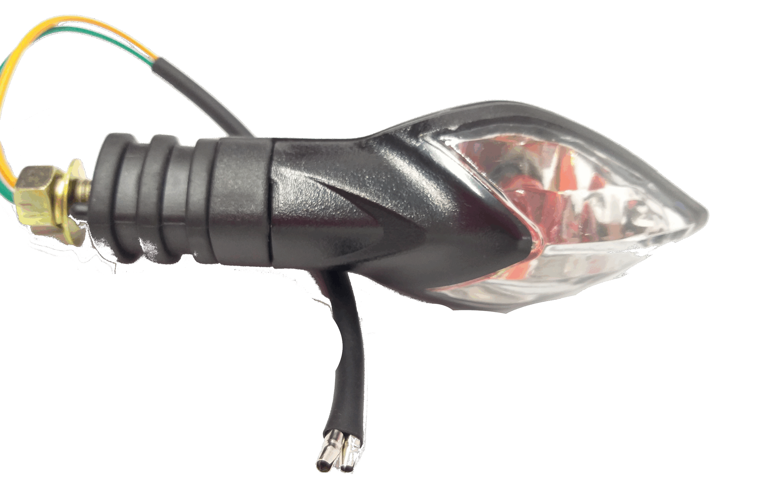 20190216_153049 20190216 153049 scaled