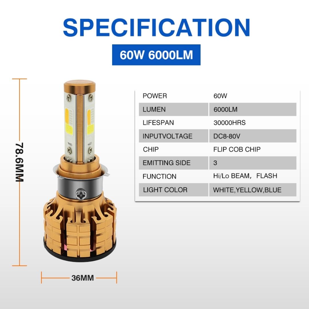 BOAL29 1