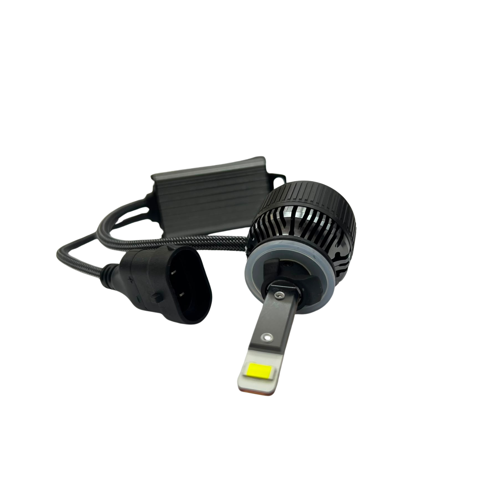 BOAL31880